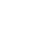 FreedomVanGo logo