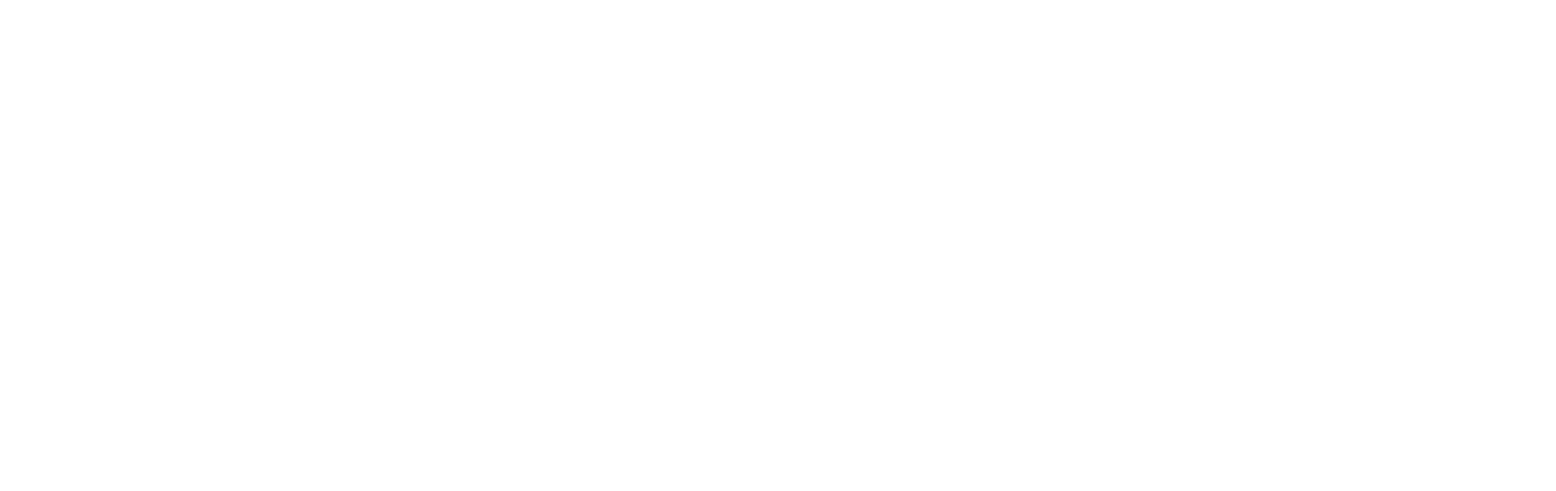 Vanlife Customs logo